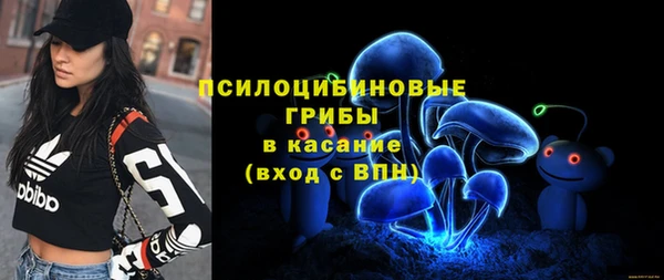 шишки Нея