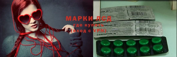 шишки Нея