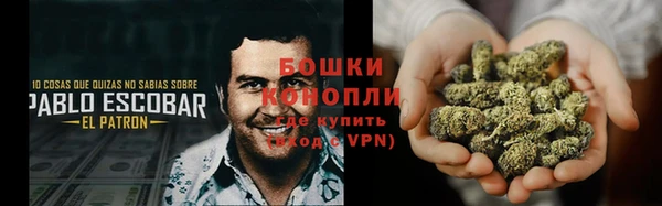 шишки Нея