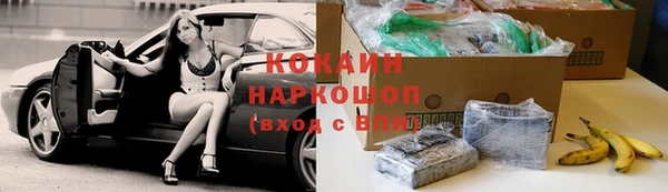 шишки Нея