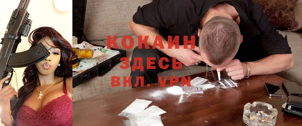 шишки Нея