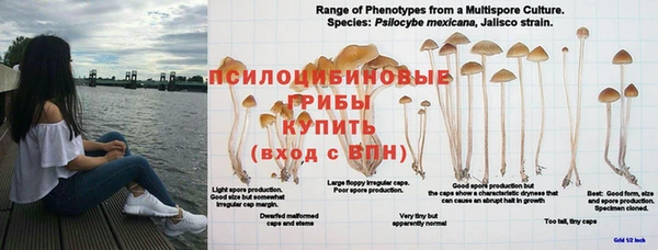 молекула духа Аша